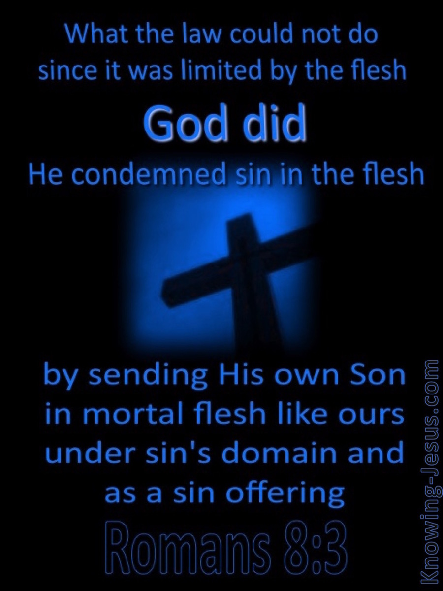 Romans 8:3 He Condemned Sin In The Flesh (blue)